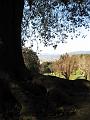Boboli Gardens-39